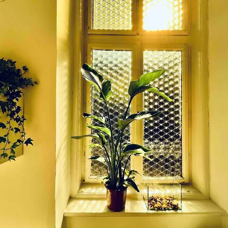 Your Charming And Spacious Historical Apartment