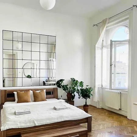 Your Charming And Spacious Historical Apartment *